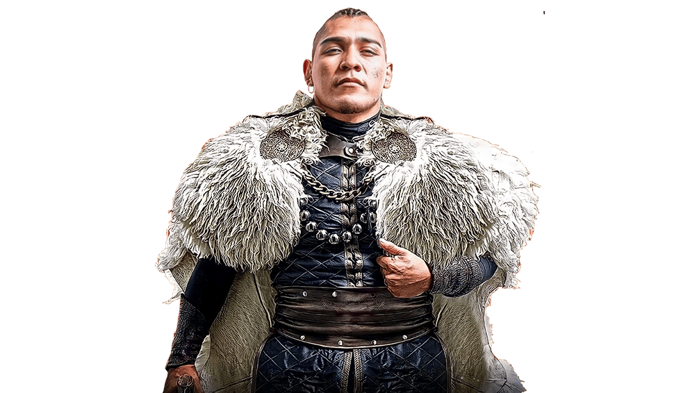El Hijo del Vikingo - Pro Wrestlers Database