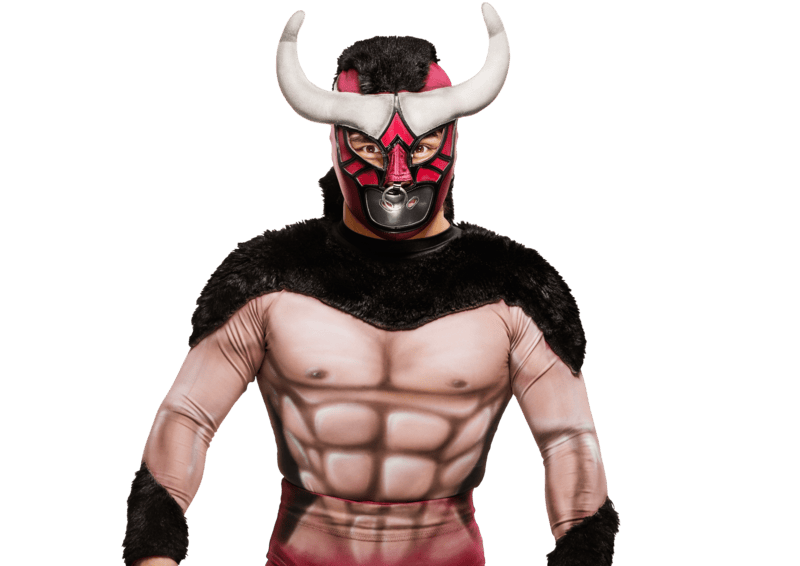 El Torito / Mascarita Dorada - Pro Wrestler Profile