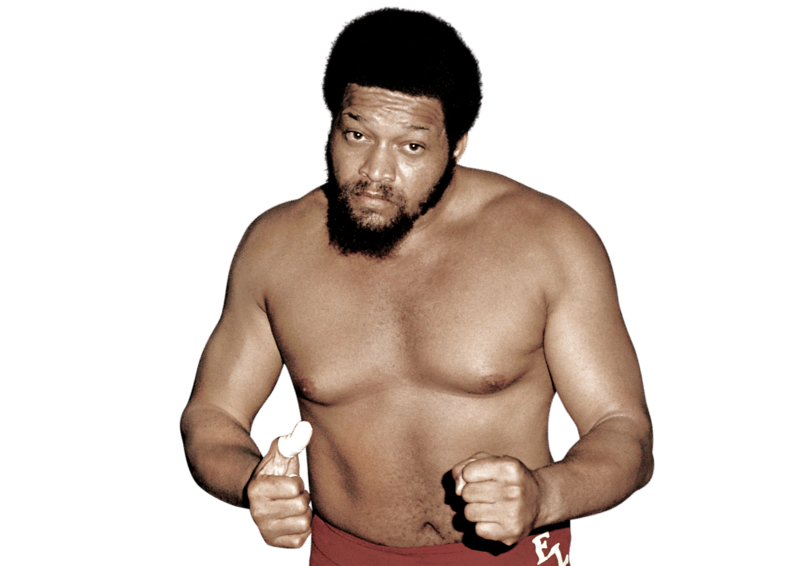 Ernie Ladd - Pro Wrestler Profile