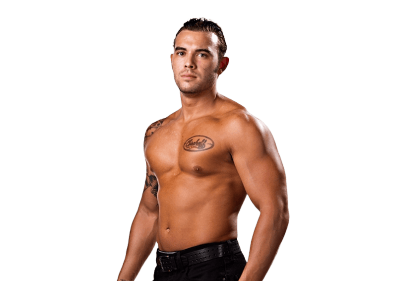 Garett Bischoff - Pro Wrestler Profile