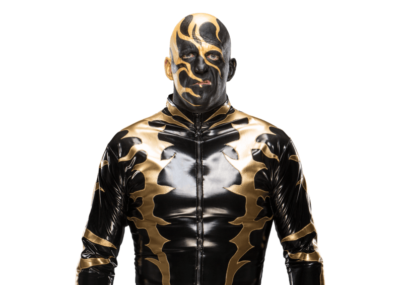 Goldust / Dustin Rhodes - Pro Wrestler Profile