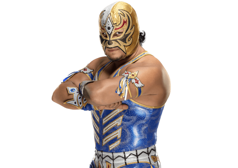 Gran Metalik / Máscara Dorada - Pro Wrestler Profile