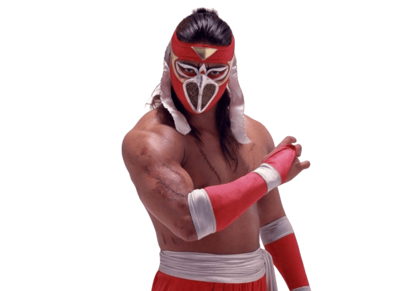 Hayabusa / Eiji Ezaki - Pro Wrestler Profile