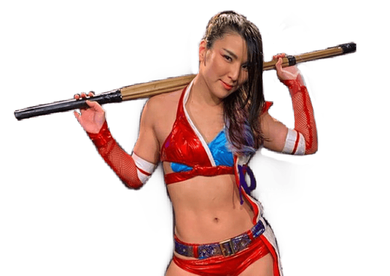 Hikaru Shida - Pro Wrestler Profile