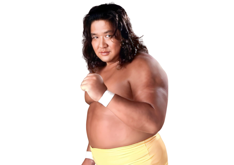 Hiromichi Fuyuki / Kodo Fuyuki / Samson Fuyuki - Pro Wrestler Profile