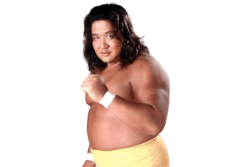 Hiromichi / Kodo / Samson Fuyuki - Pro Wrestlers Database
