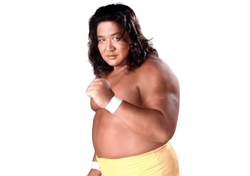 Hiromichi Fuyuki / Kodo Fuyuki / Samson Fuyuki - Pro Wrestler Profile