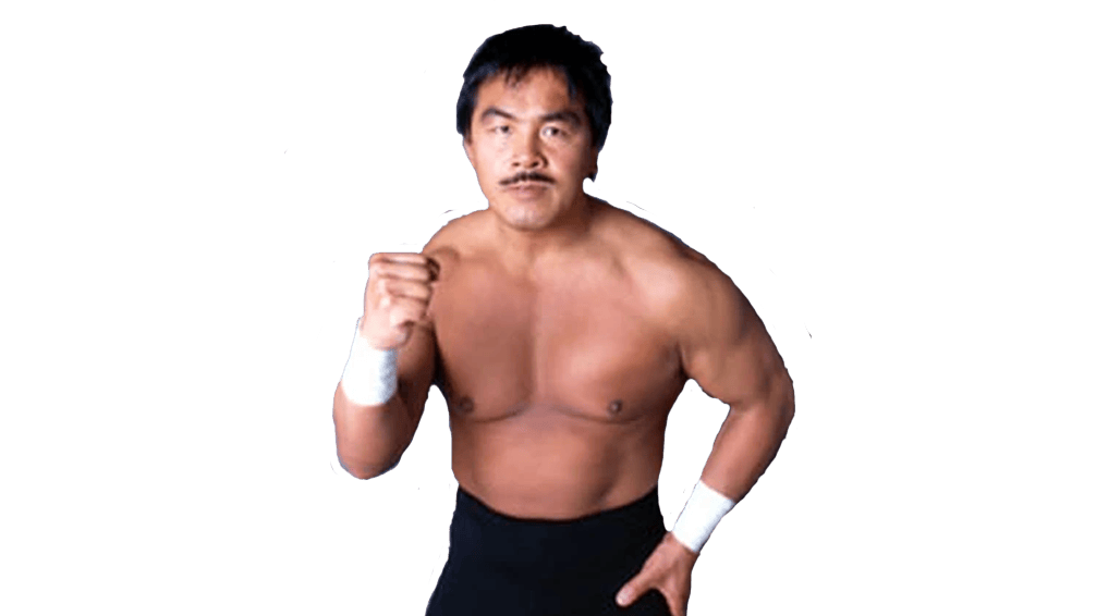Hiroshi Hase - Pro Wrestler Profile