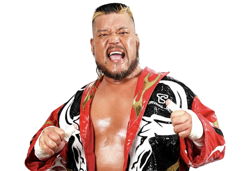 Hiroyoshi Tenzan - Pro Wrestlers Database
