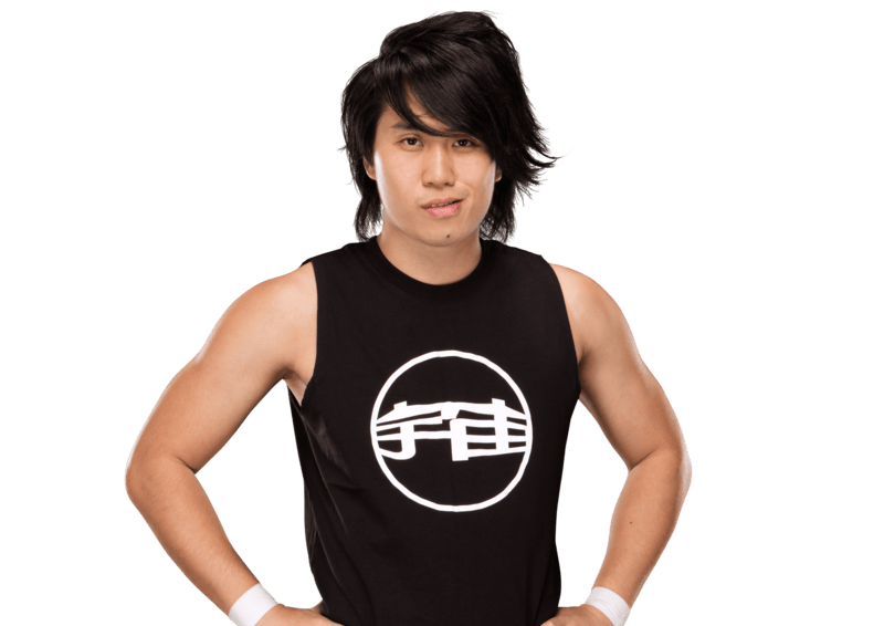 HoHo Lun - Pro Wrestler Profile