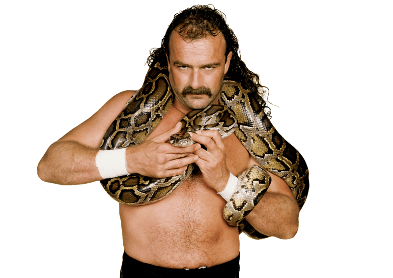 Jake Roberts - Pro Wrestler Profile