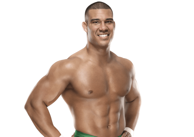 Jason Jordan - Pro Wrestler Profile