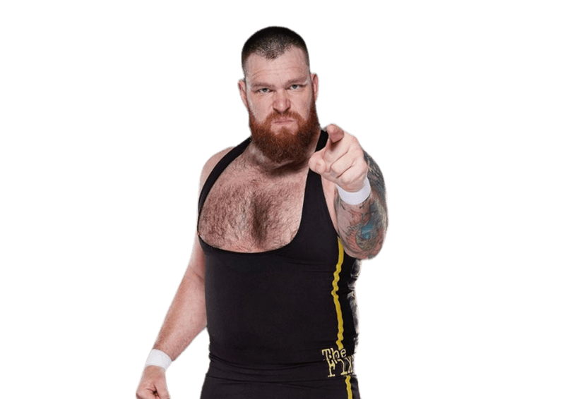 Jay Bradley / Aiden O'Shea - Pro Wrestler Profile
