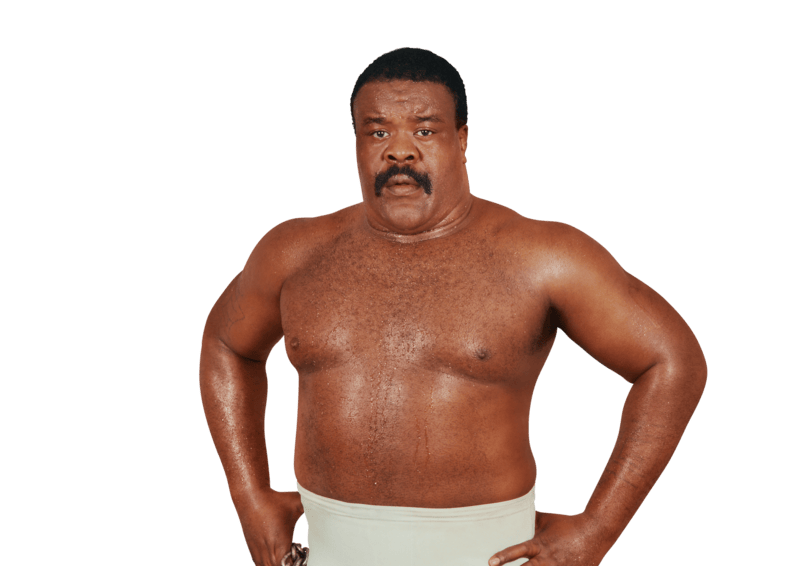 Junkyard Dog - Pro Wrestler Profile