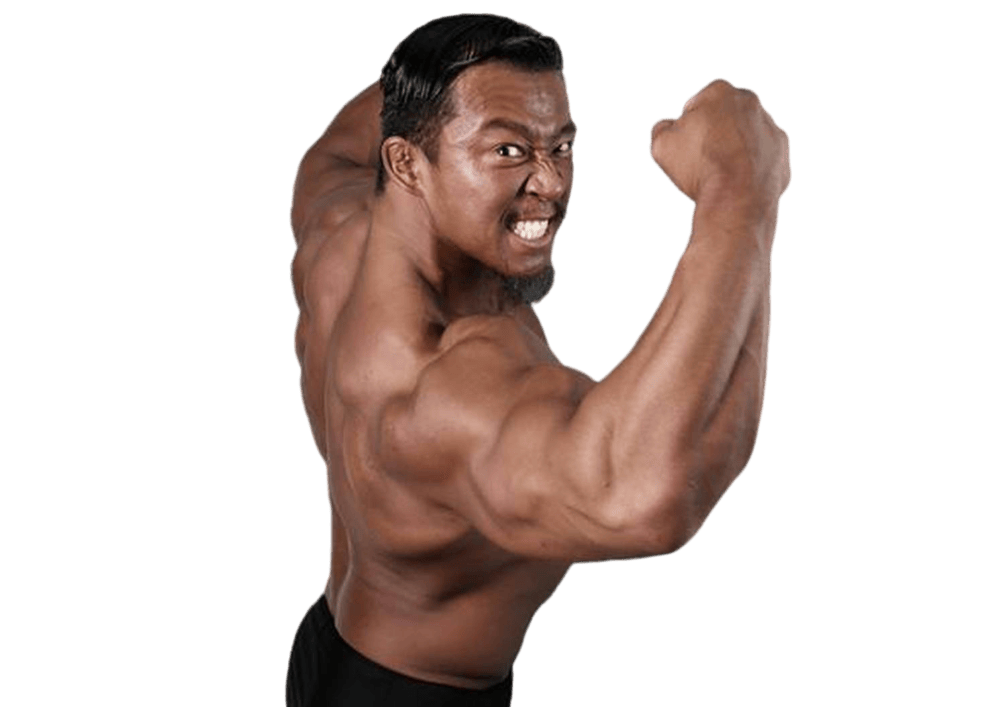 Katsuya Kitamura - Pro Wrestlers Database
