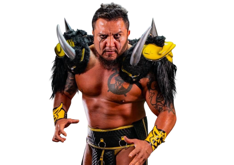 La Bestia del Ring / Toro Blanco / Pierroth - Pro Wrestlers Database