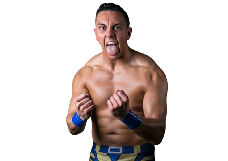 LSG - Pro Wrestlers Database