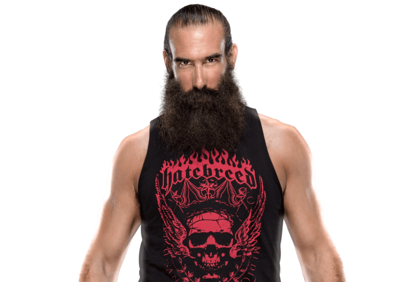 Luke Harper / Brodie Lee - Pro Wrestler Profile