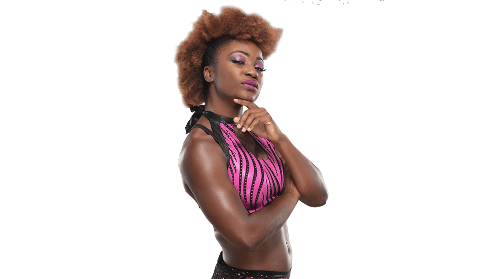 MJ Jenkins - Pro Wrestler Profile