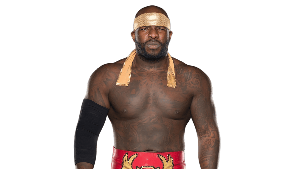 Moose - Pro Wrestler Profile