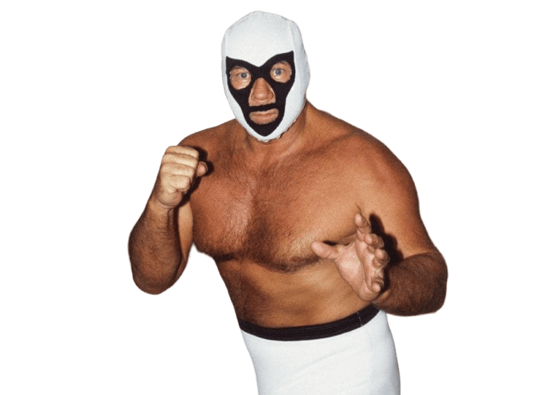 Mr. Wrestling II - Pro Wrestler Profile