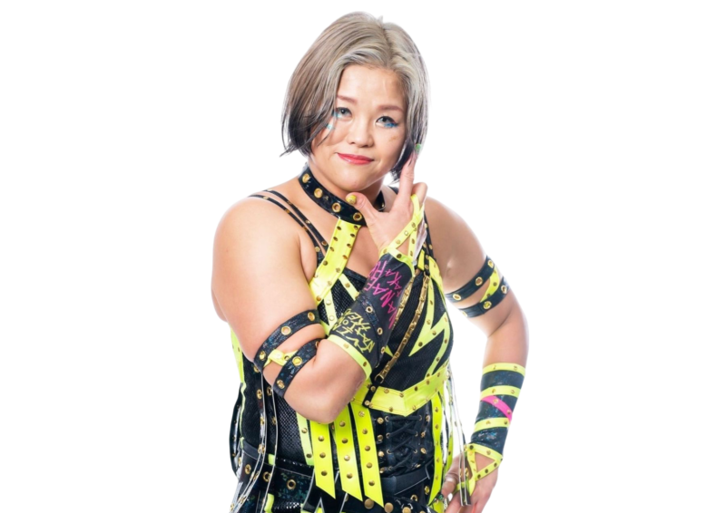 Nanae Takahashi - Pro Wrestler Profile