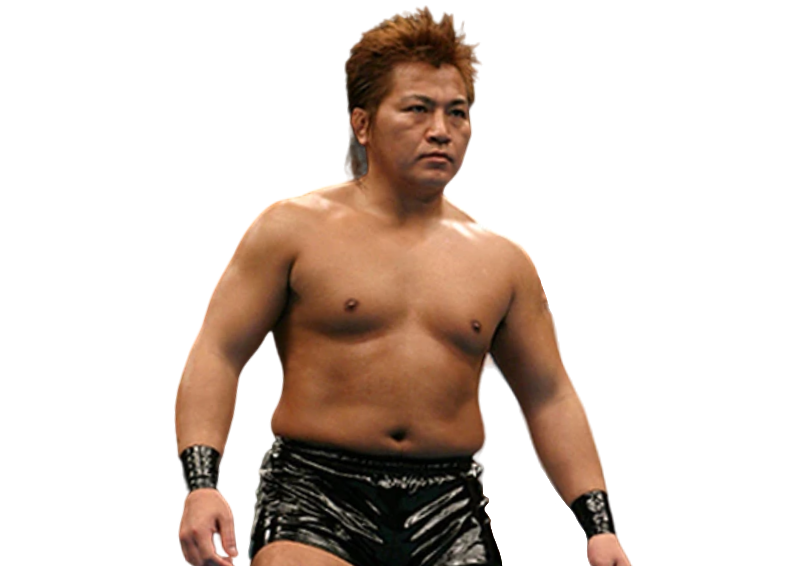 Naohiro Hoshikawa - Pro Wrestler Profile