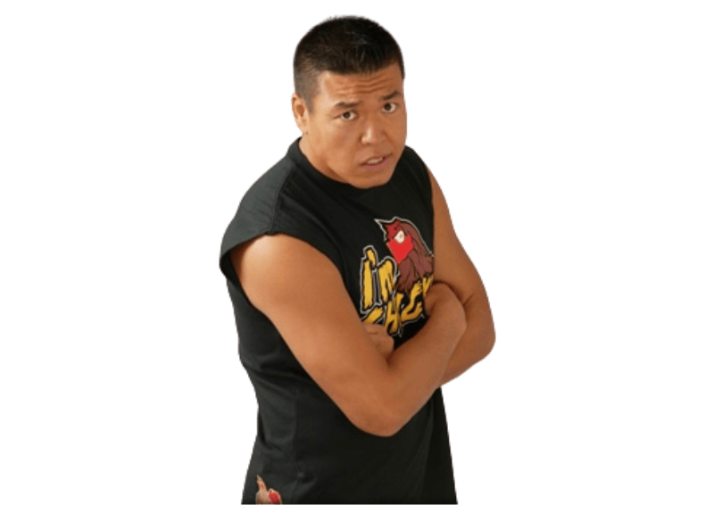 Naoya Ogawa - Pro Wrestlers Database