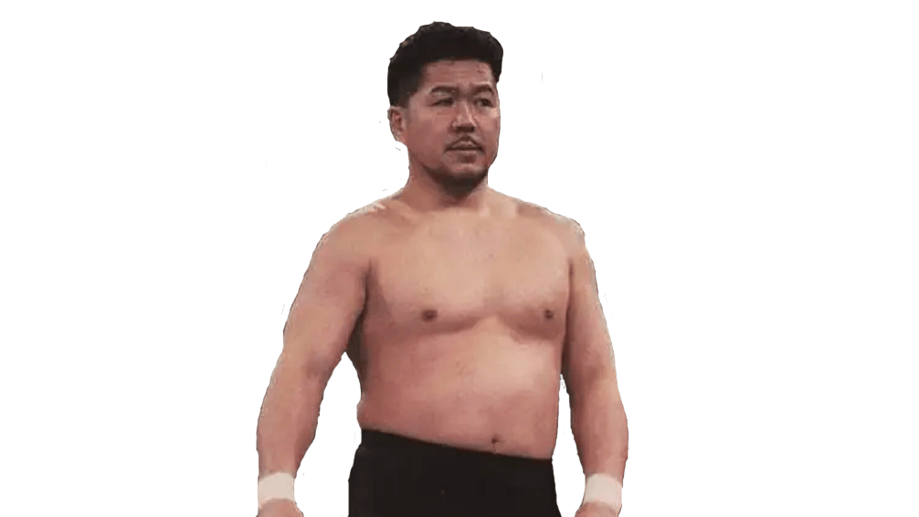 Norio Honaga - Pro Wrestler Profile