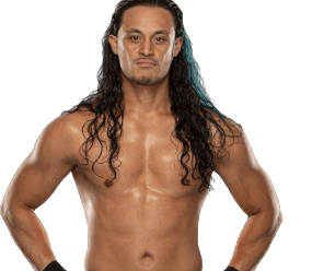 Aaron Solo - Pro Wrestler Profile