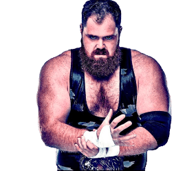 Bear Boulder - Pro Wrestler Profile