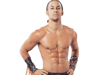 Boy 2 / Brent Tate - Pro Wrestler Profile