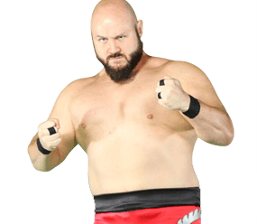 J. Bronson - Pro Wrestler Profile