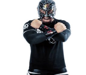 BUSHI - Pro Wrestler Profile