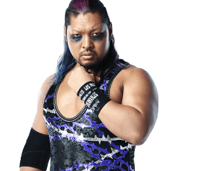 EVIL - Pro Wrestler Profile