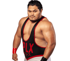 Jeff Cobb - Pro Wrestler Profile