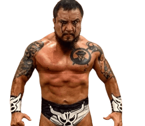 La Bestia del Ring / Toro Blanco / Pierroth - Pro Wrestler Profile