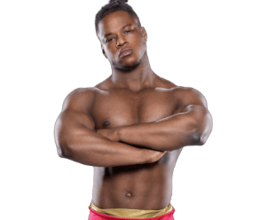 Levi Muir - Pro Wrestler Profile