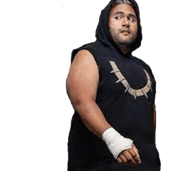 Mark Tui - Pro Wrestler Profile