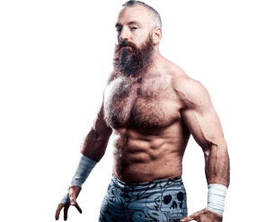 Matt Cross / Son of Havoc - Pro Wrestler Profile