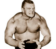 Dick the bruiser