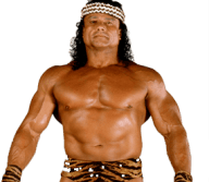 Jimmy snuka