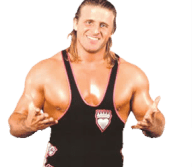 Owen Hart