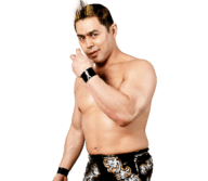 Taka michinoku