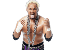 Togi Makabe