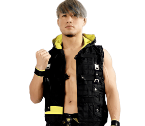 SHO - Pro Wrestler Profile