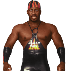 Stevie Ray - Pro Wrestler Profile