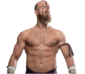 Stu Grayson - Pro Wrestler Profile