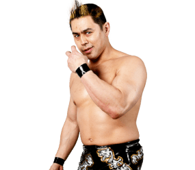 TAKA Michinoku - Pro Wrestler Profile