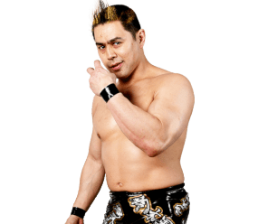 TAKA Michinoku - Pro Wrestlers Database